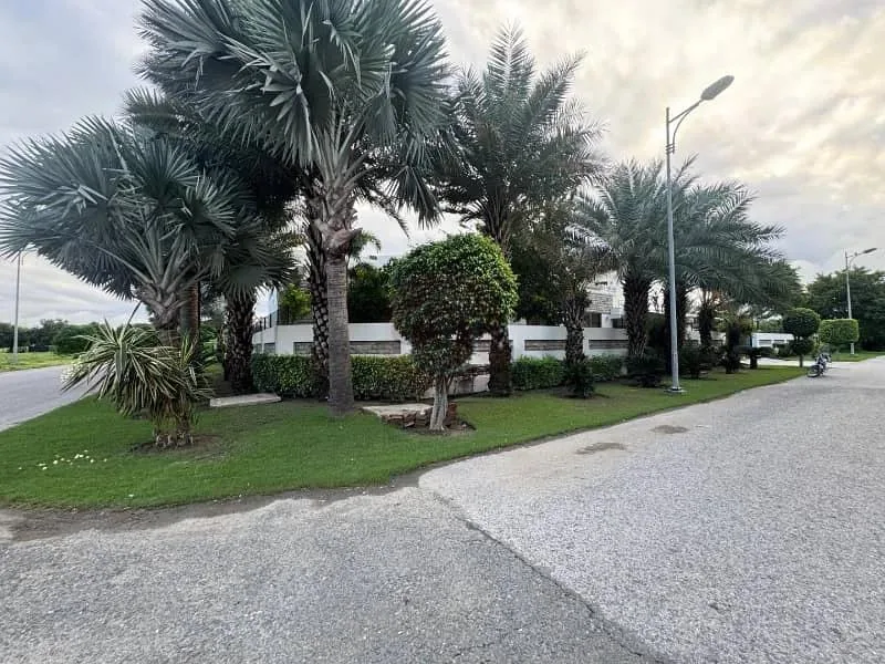 Stunning 1 Kanal Corner Bungalow with Full Basement in DHA Lahore