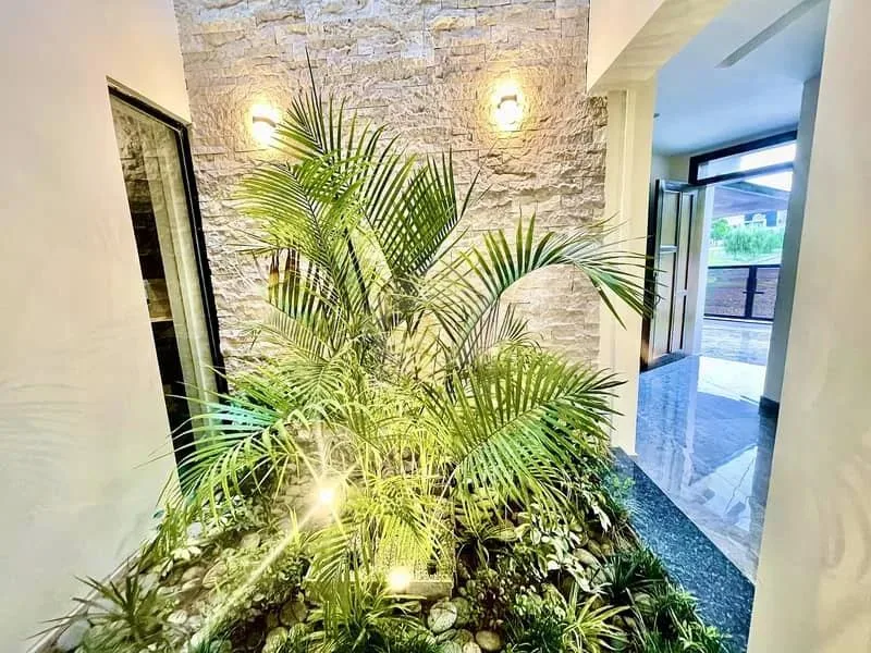 Brand New Designer Home in DHA Phase 2