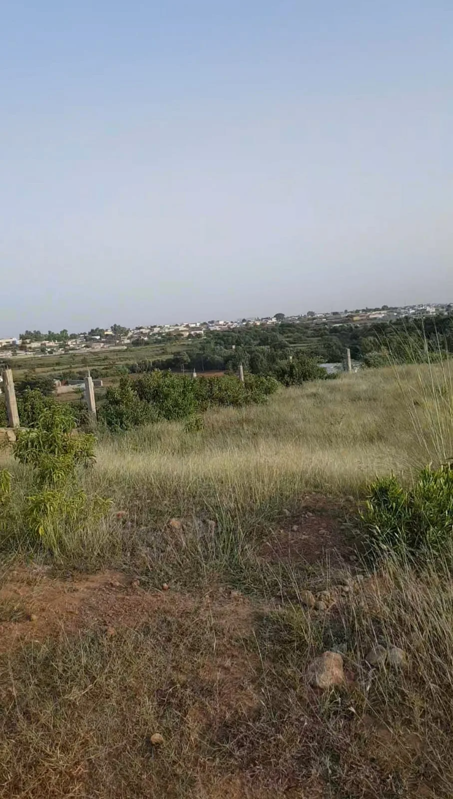 14 kanal mountain top . sector D13 k sath molhika