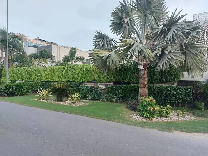 Contact Us to Purchase a 2 Kanal House in Lahore