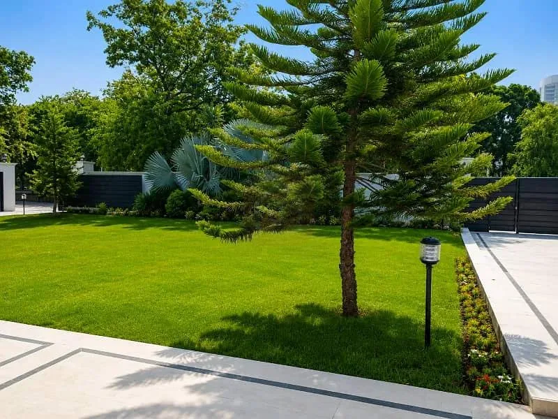Exclusive 1777 SQYD Property in F-7 Islamabad