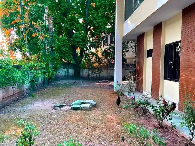 Prime Investment in G-6 Islamabad