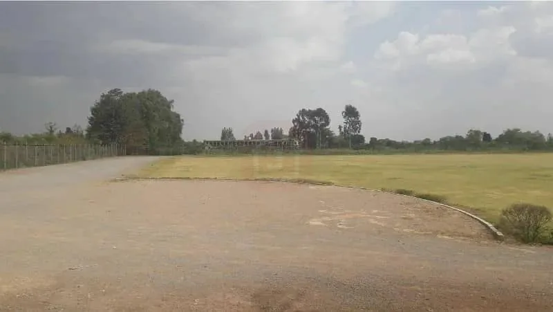 5-Acre Farmhouse Available | 450 Ft Frontage | Main Double Road