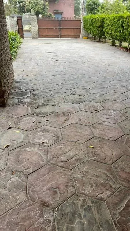 4-Bedroom Bungalow Facing Park for Sale in DHA Phase 1, Lahore