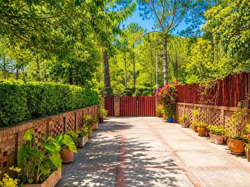 Corner House for Sale: 80X120 in Islamabad F-7