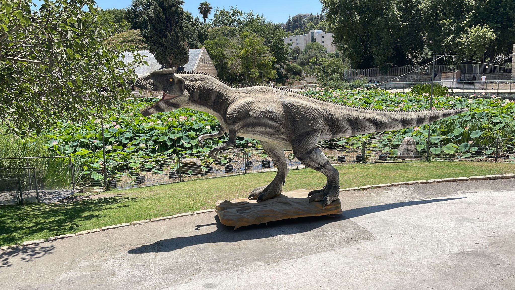 בוטניזאור – קיץ של דינוזאורים וטבע בגן הבוטני גבעת רם בירושלים