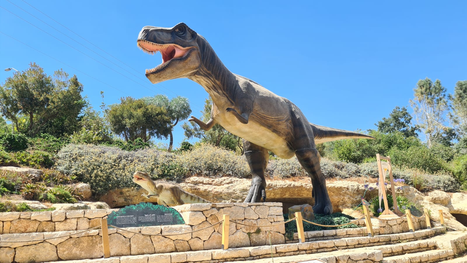 בוטניזאור בגן הבוטני בירושלים – גם בחוה"מ סוכות