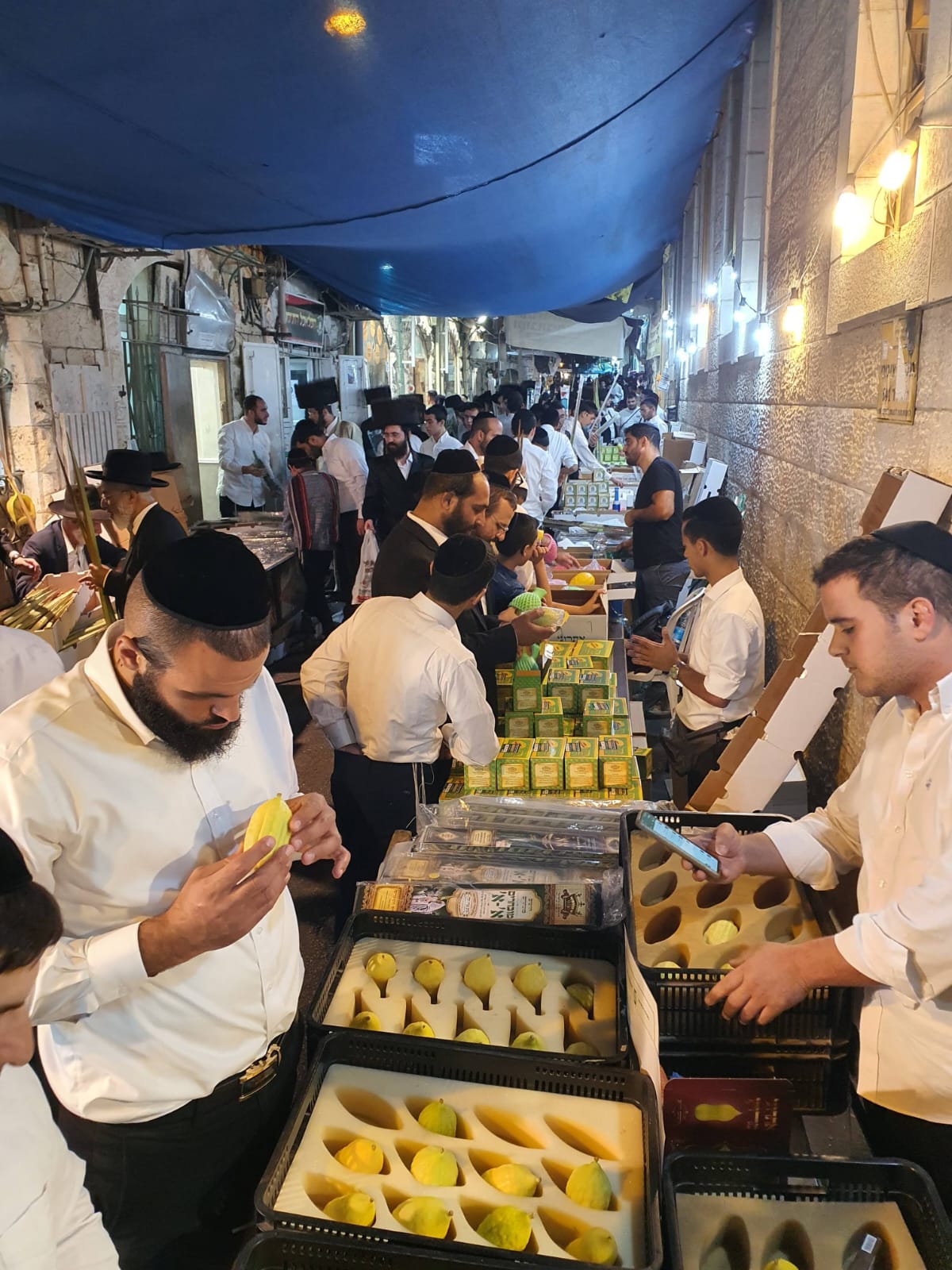 אתרוג, לולב, הדס וערבה בכיכר ולירו: שוק ארבעת המינים המסורתי של ירושלים חוזר!