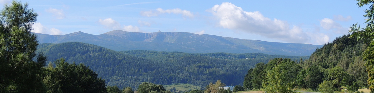 Profile large dscn1041