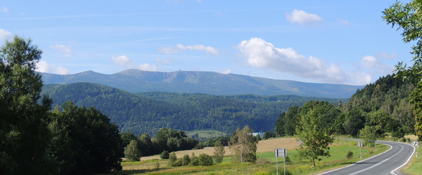 Profile medium dscn1041