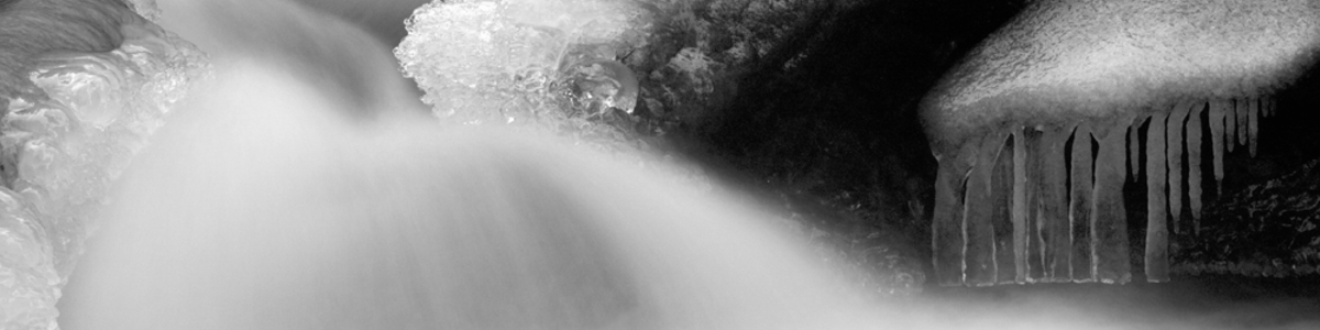 Profile large img 2001bw
