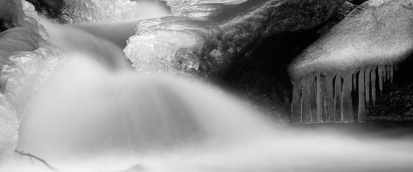 Profile medium img 2001bw