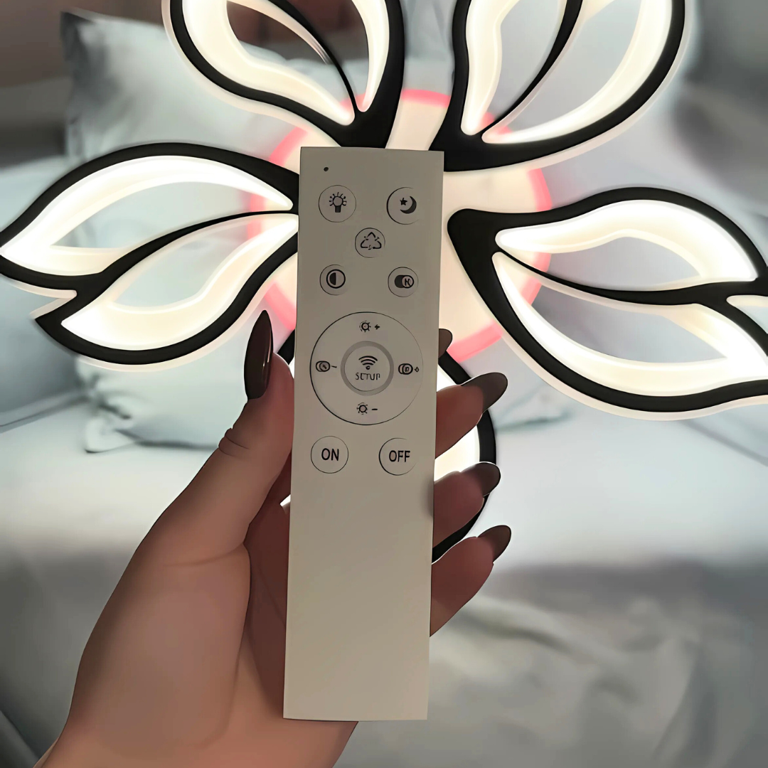 Комплект поставки люстры 1182/5BK: пульт, крепление, упаковка