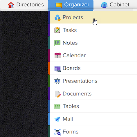 How to manage projects in Elbuz