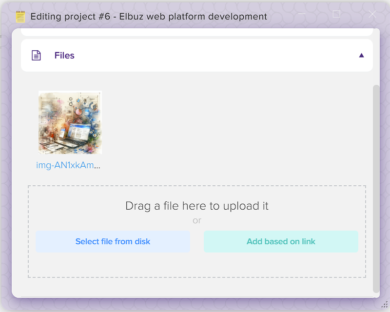 How to manage projects in Elbuz