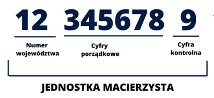 What is a REGON number in Poland and how to get it