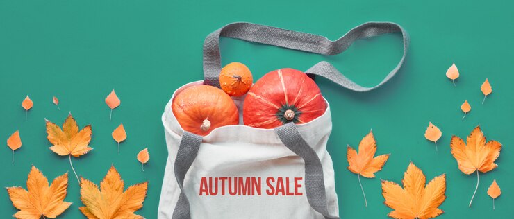 How to increase the profit of an online store through proper planning of seasonal sales