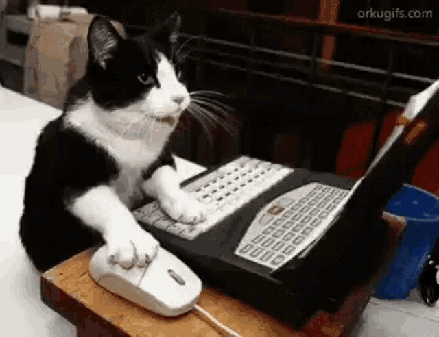 SQL Structured Query Language