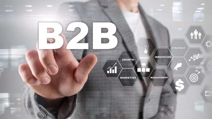 B2B portal strategy and preparation for a successful launch