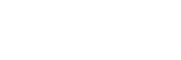 Nolimitcity logo