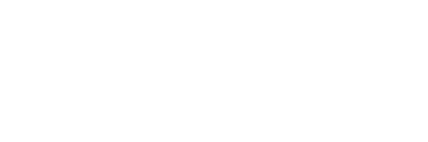 Platipus logo