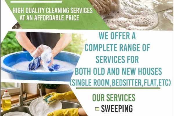 ani cleaning services