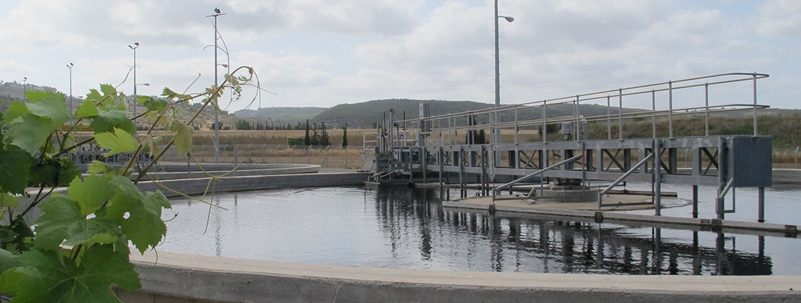 קרדיט תמונה- דוברות מועצת חוף הכרמל.