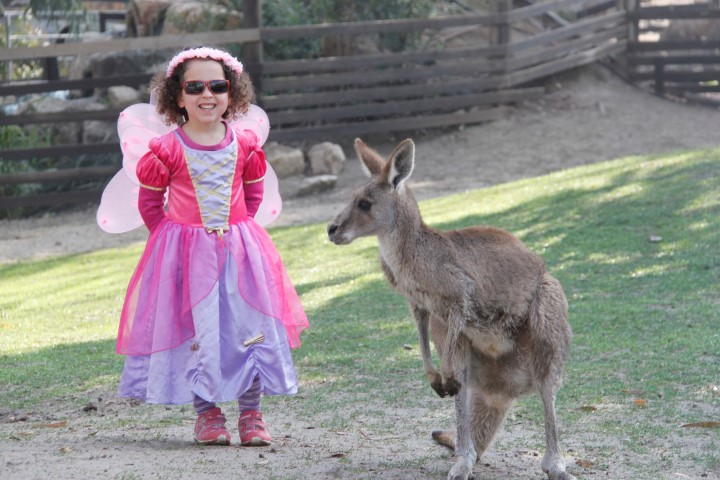 הפנינג פורים 2016 לכל המשפחה בגן גורו הפארק האוסטרלי ופארק המעיינות