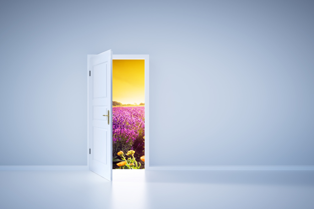 דלתות מודרניות – מה המאפיינים שלהן?