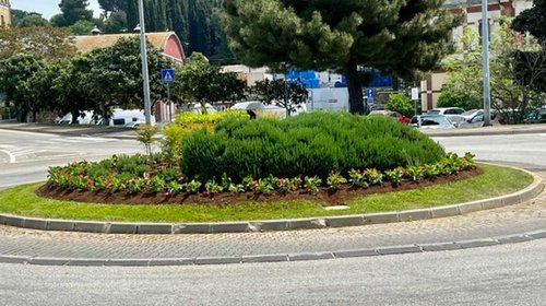 NASTAVAK SADNJE PROLJETNOG CVIJEĆA