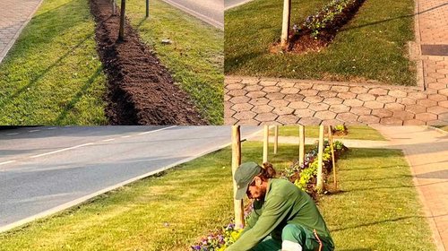 SADNJA JESENSKOG CVIJEĆA