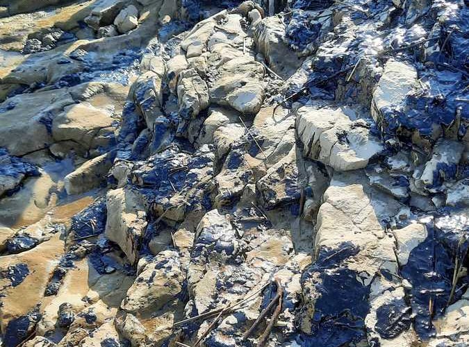 ISPOMOĆ U SANACIJI ONEČIŠĆENJA MORA I PRIOBALJA U OPĆINI LIŽNJAN