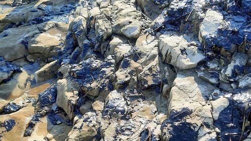 ISPOMOĆ U SANACIJI ONEČIŠĆENJA MORA I PRIOBALJA U OPĆINI LIŽNJAN