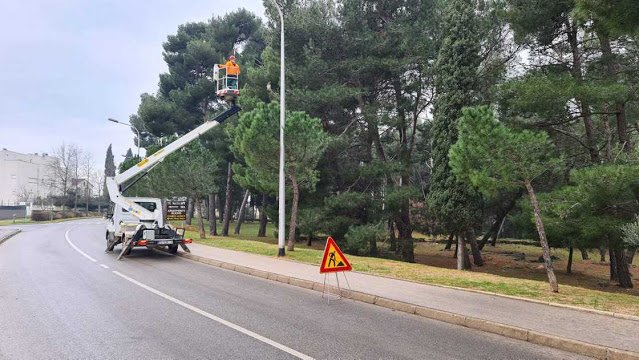 UKLANJANJE GNIJEZDA BOROVOG ČETNJAKA