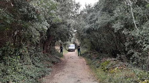 ČIŠĆENJE RASLINJA UZ ˝STAZU MIRA˝