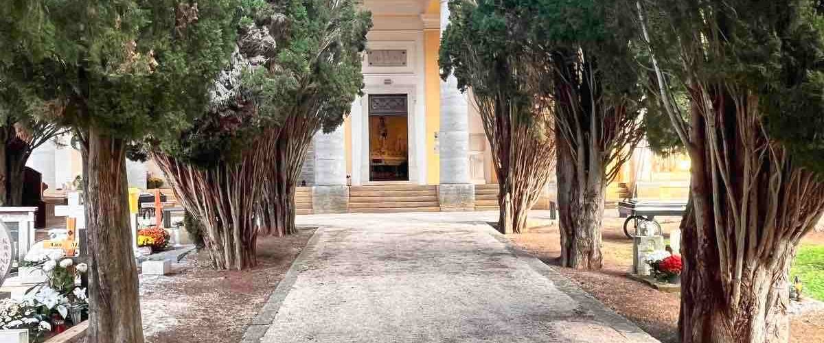 Čišćenje čempresa na groblju