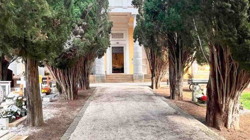 Čišćenje čempresa na groblju