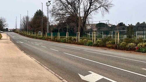 OBNOVA ZELENILA U ULICI ALEJA 30. SVIBNJA