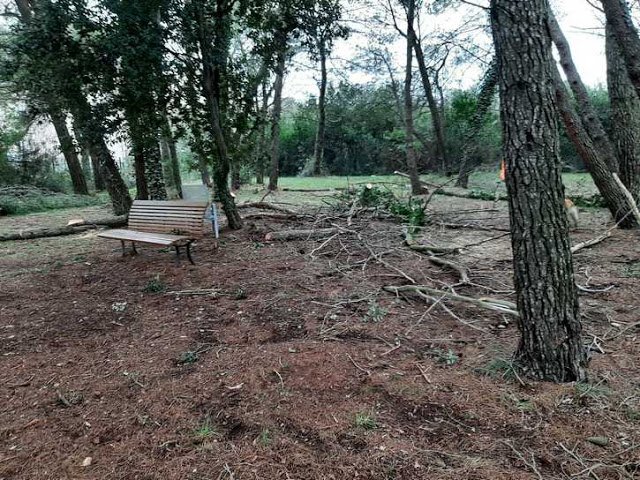 ČIŠĆENJE ŠUMICE COCALETTO