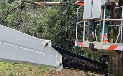 NOVITÀ DALL’UA VERDE - PULIZIA DOPO IL MALTEMPO