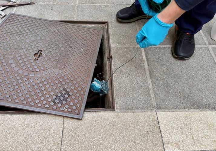 NOVITÀ DAL MERCATO CITTADINO