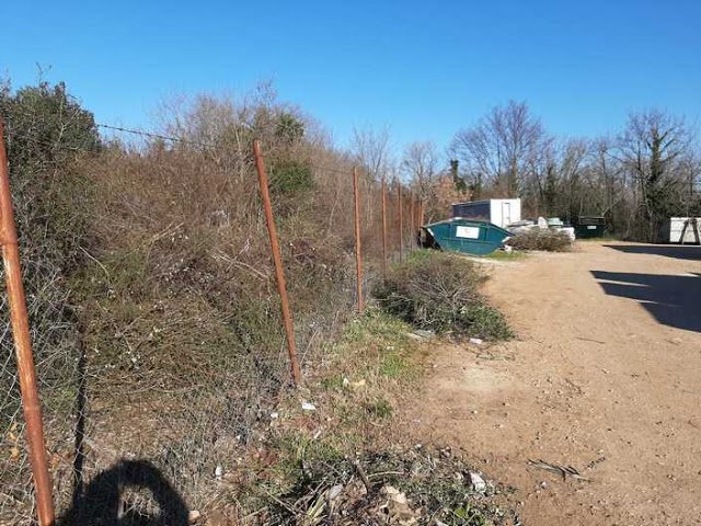 ČIŠĆENJE RASLINJA