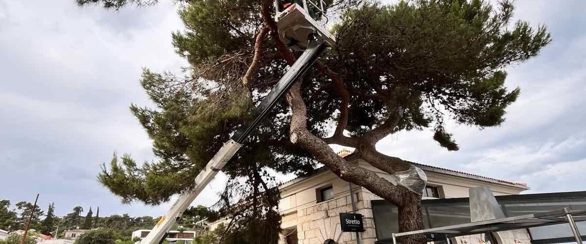 Nastavak radova na čišćenju od nevremena