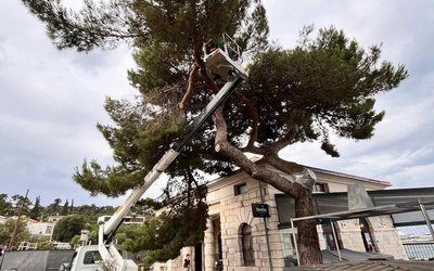 Nastavak radova na čišćenju od nevremena