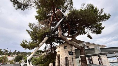Nastavak radova na čišćenju od nevremena