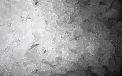 NOVITÀ DAL MERCATO CITTADINO