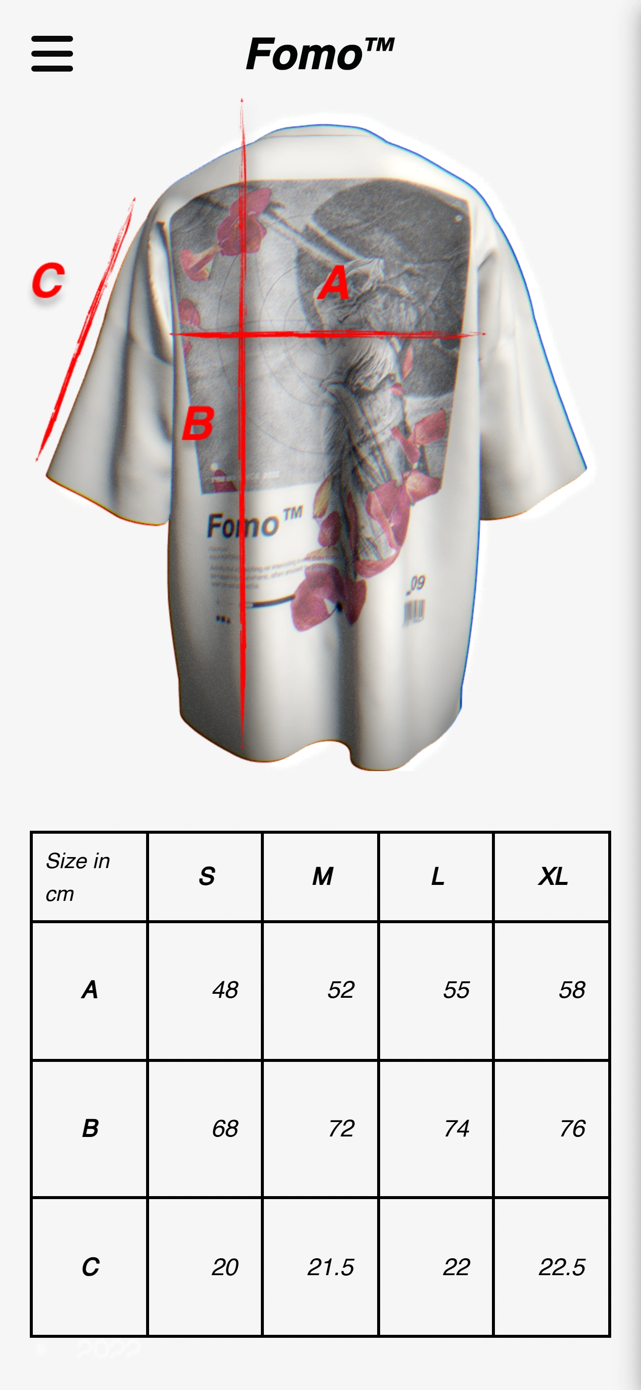 project image 3