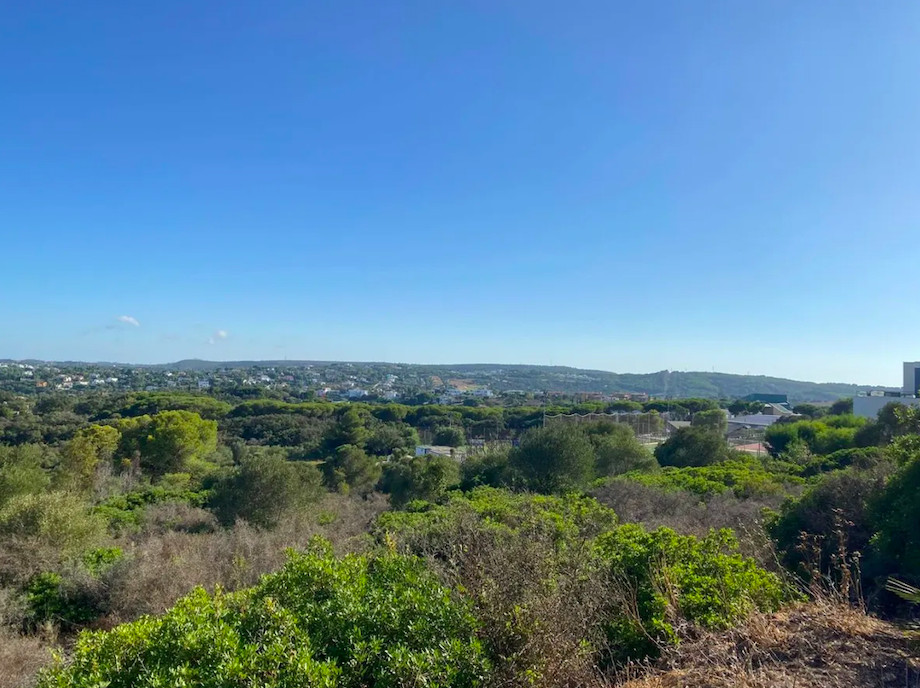 On Avenida de la Reserva, a plot bought for the view alone