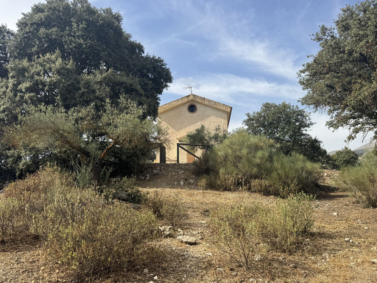 A finca above Alfarnate, bought for the land as much as the house