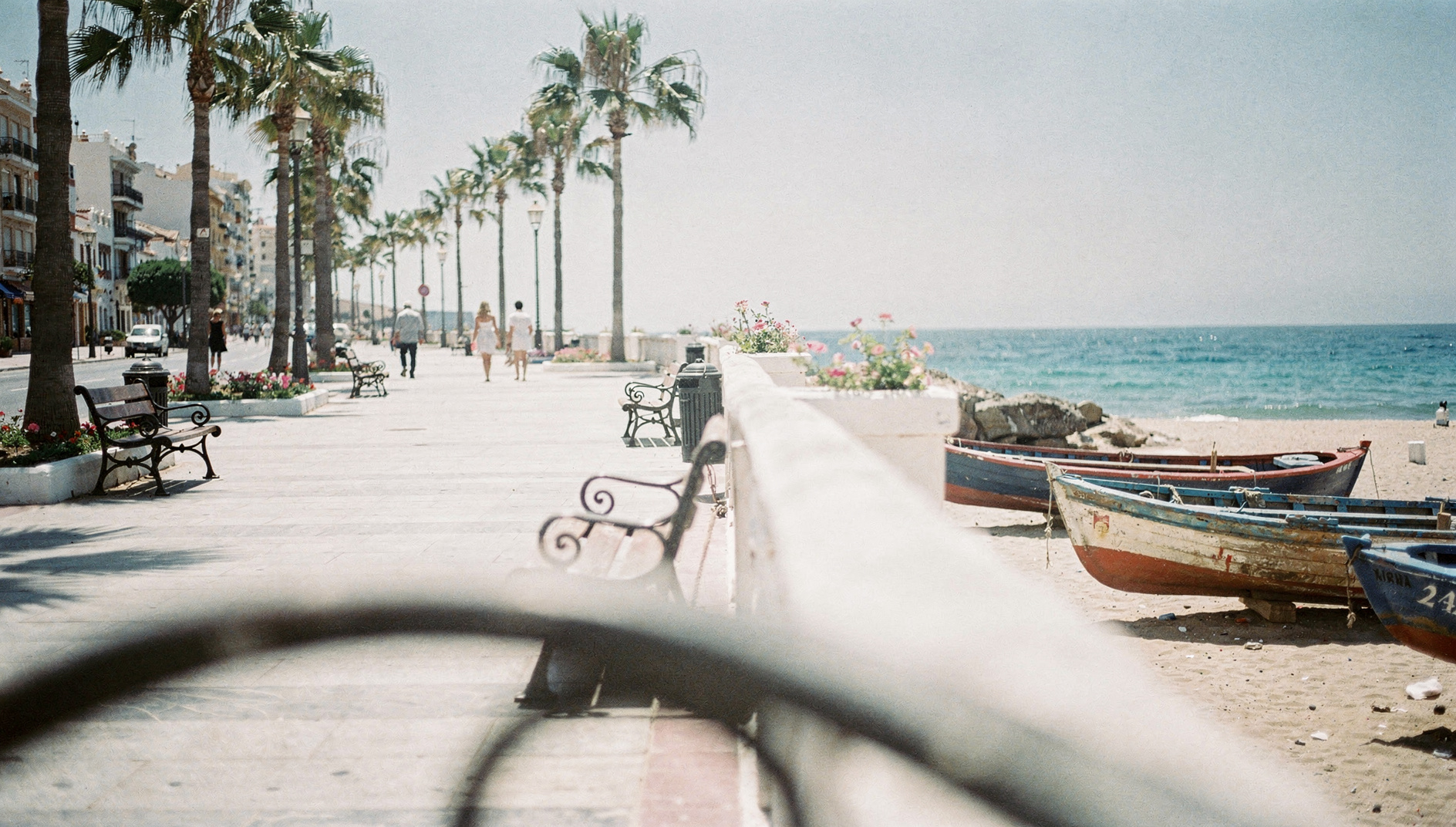 A distant couple and family strolling along a palm-lined seafront promenade